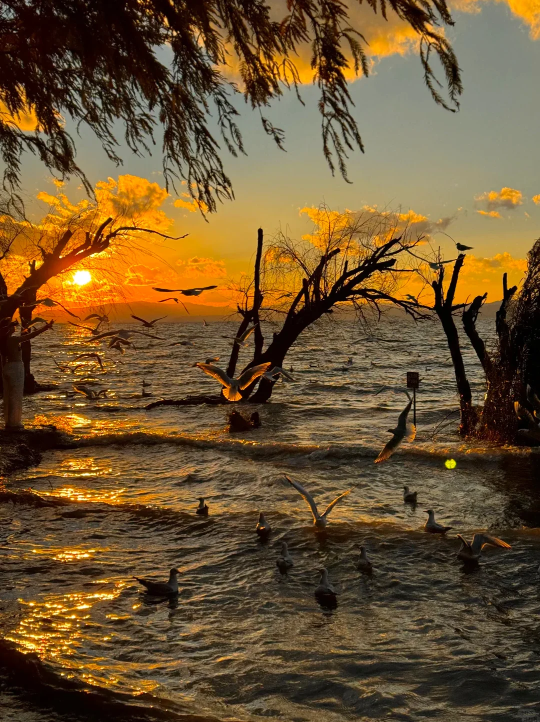 云南旅游攻略｜12~2月出行保姆级指南✅