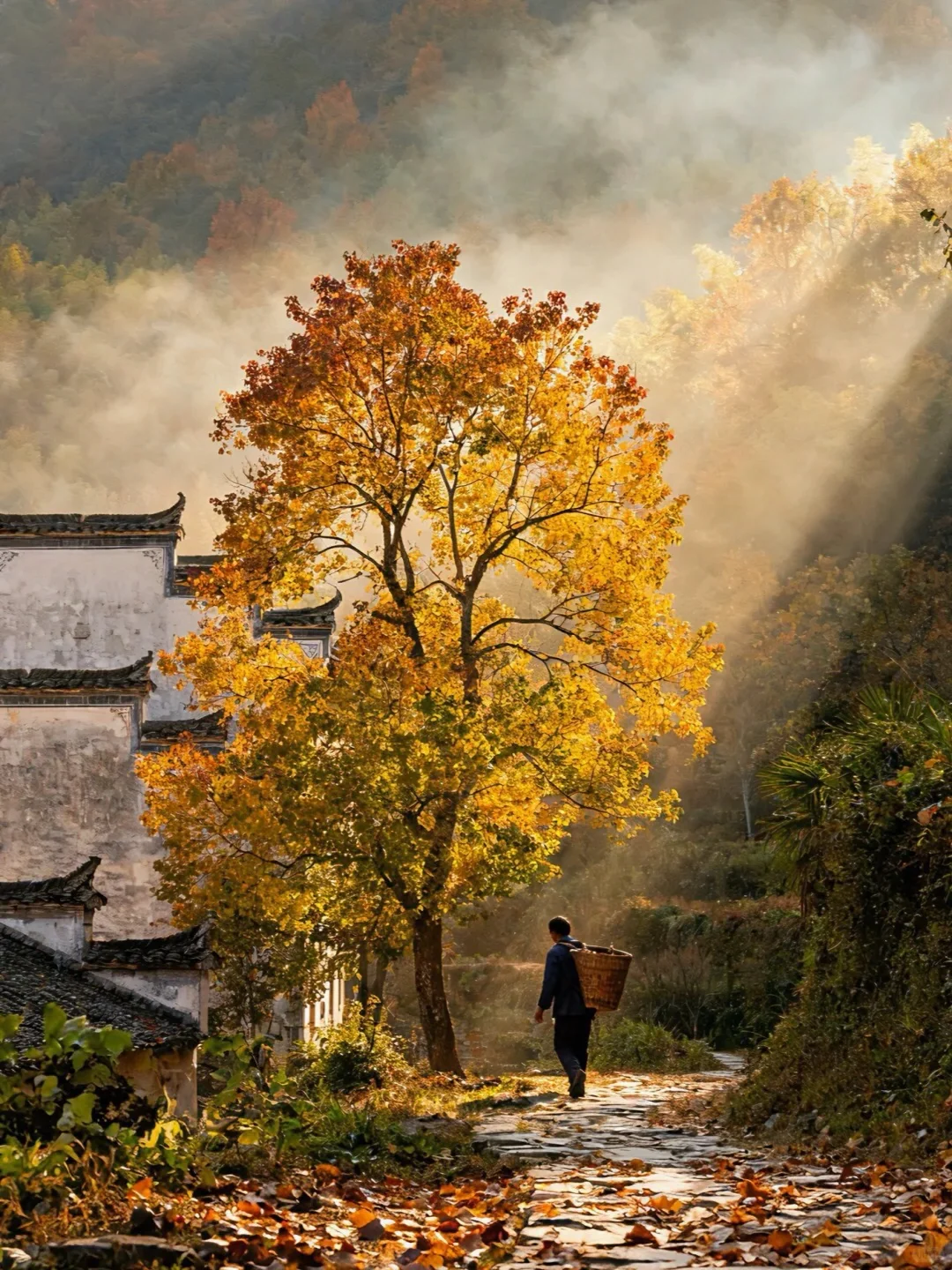 《国家地理》没骗人😭11~12月去徽州赏秋绝了