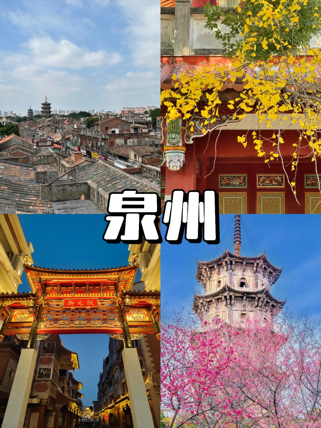 12-2月逃离寒冷❄️冬季反向旅游攻略来啦🙌🏻