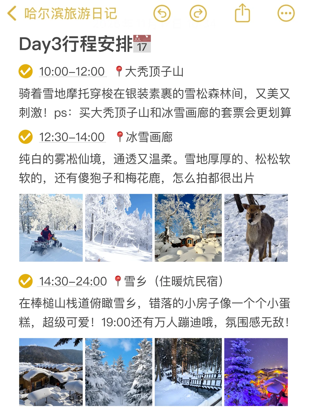 本人被自己做的哈尔滨旅游攻略满意到睡不着