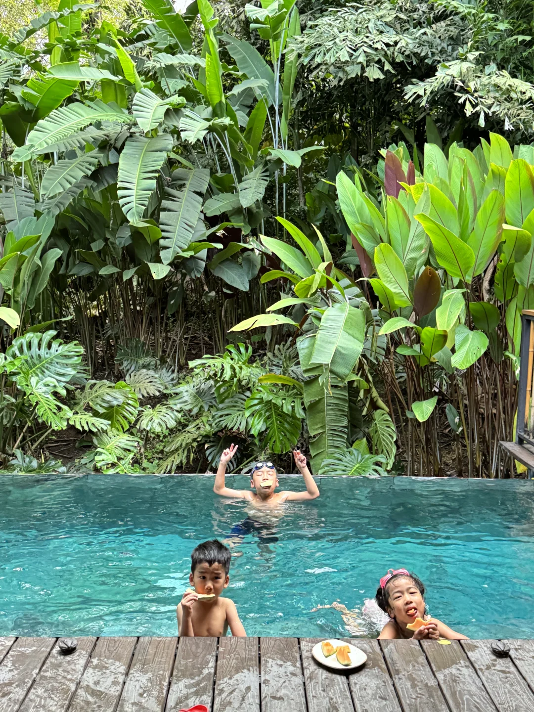 在哥斯达黎加住进了热带雨林是什么感受！