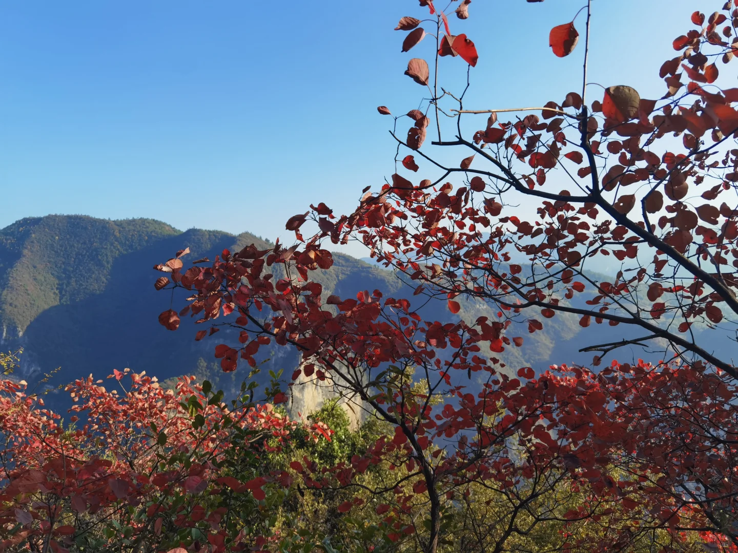 终于搞明白巫山神女天路景区。