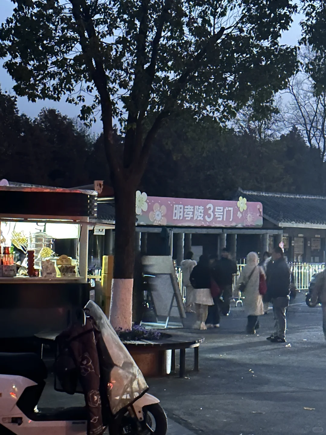 明孝陵3号门最快免费入园攻略