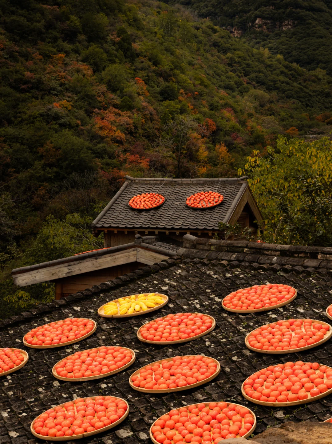 🔥山西绝美古村！把整个秋天“晒”给你看