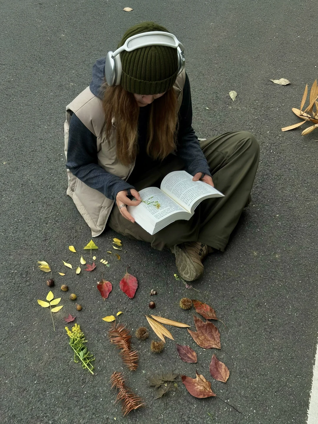 送你一份秋日免费礼物，进山去捡秋🍂