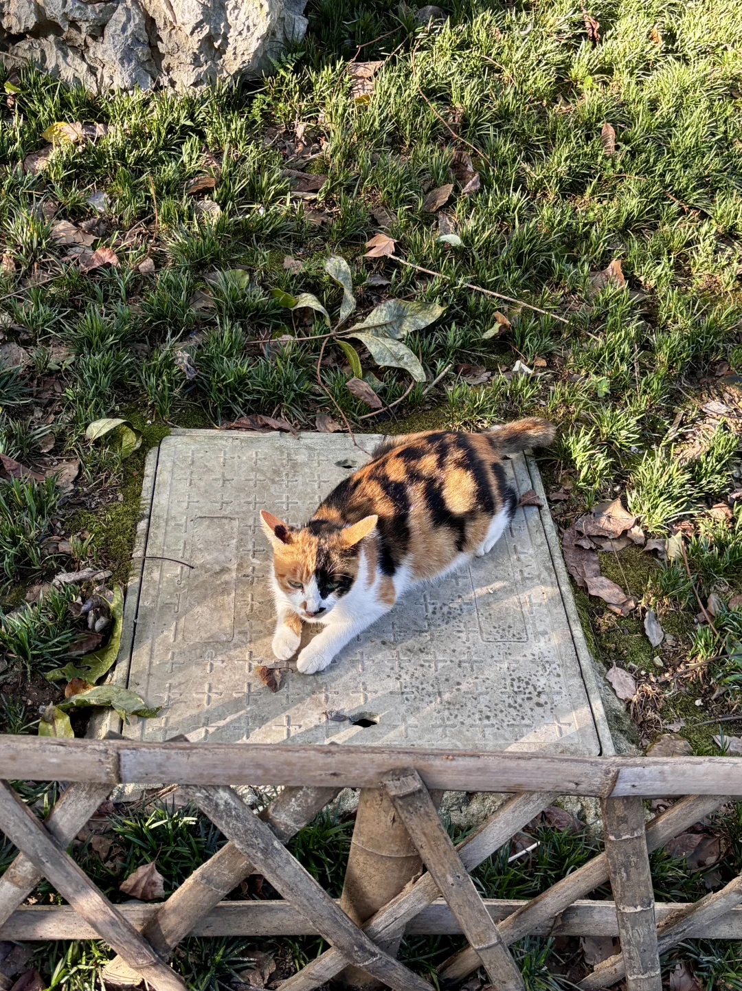 为了这1️⃣8️⃣张照片，特意去了一趟杭州…