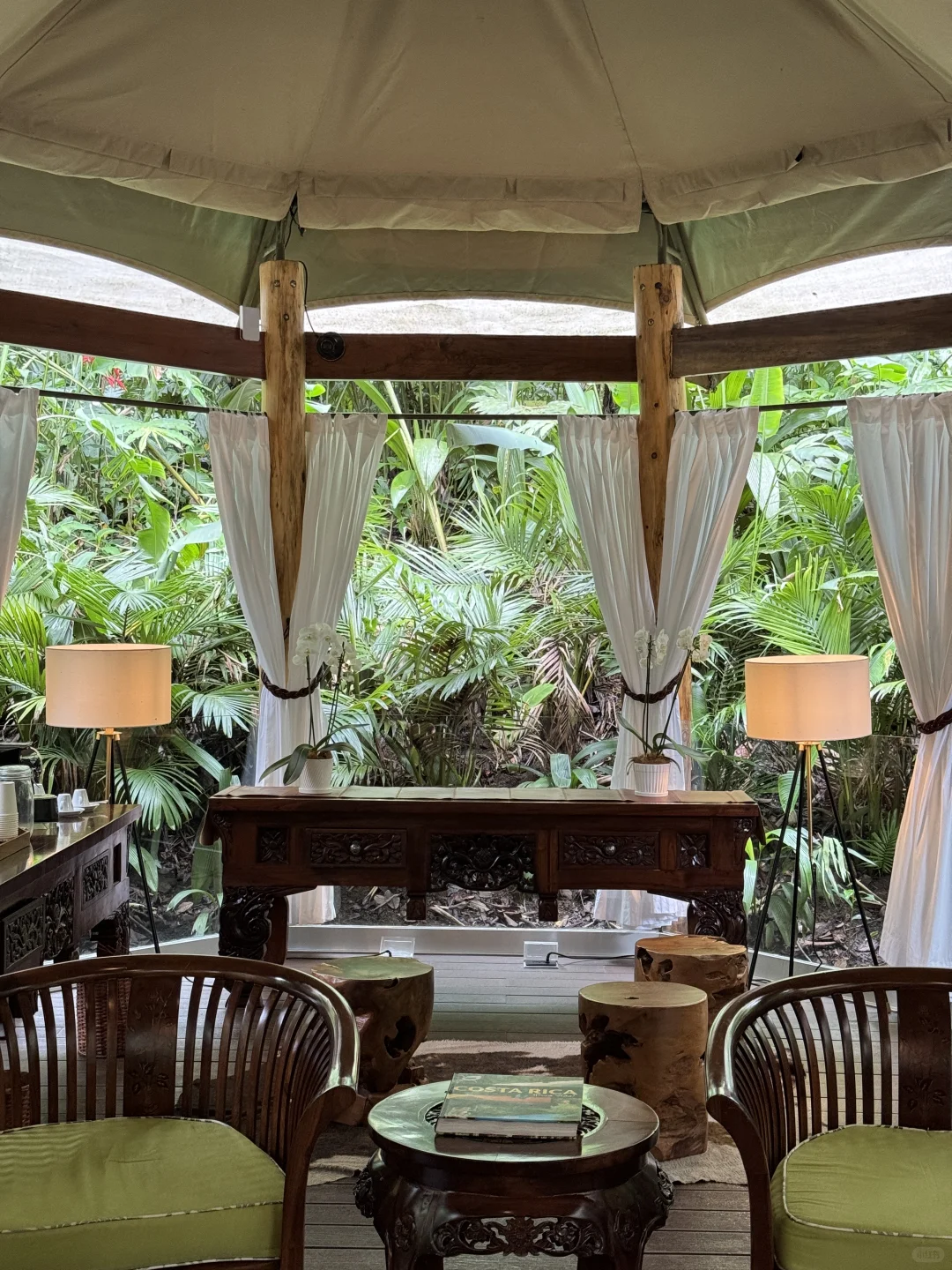 在哥斯达黎加住进了热带雨林是什么感受！