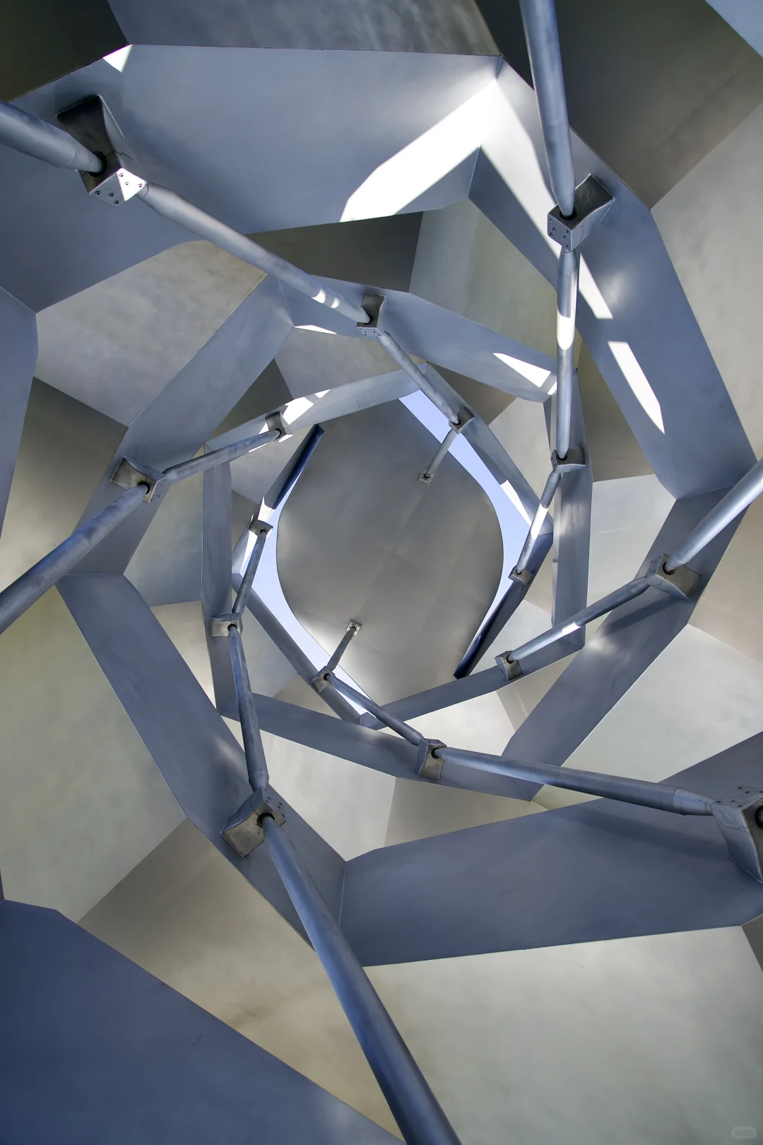 在武汉蔡甸找到了鹿客岛的平替，乌桕树已红