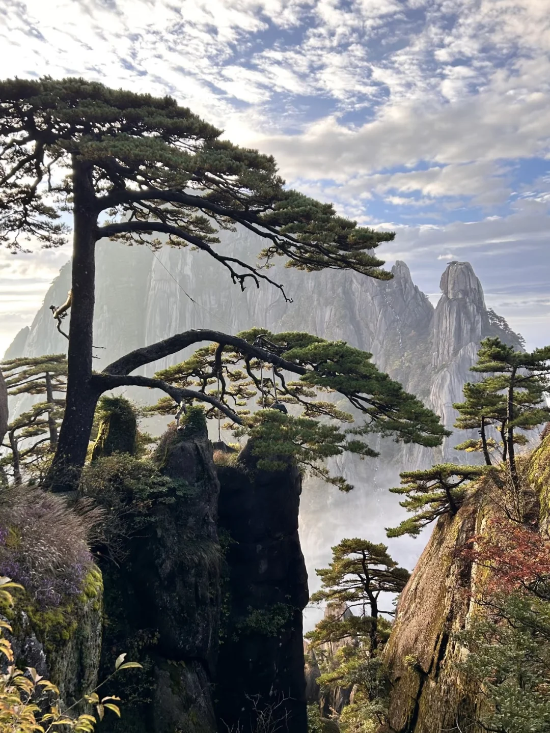 今年寒假我只带娃去一个地方：徽州！