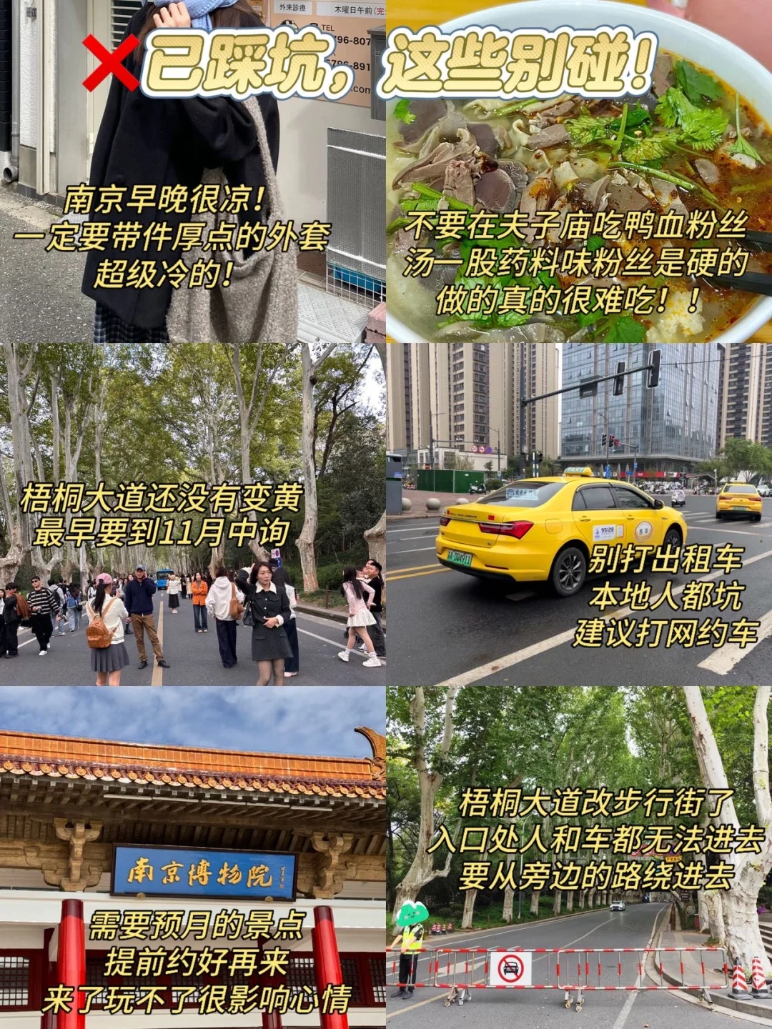 11.25南京现状！冷到崩溃🥶打算来的速看