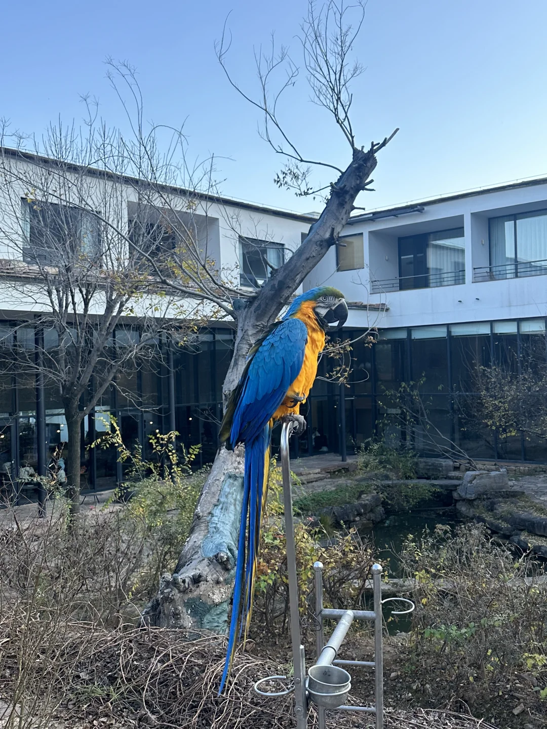 邯郸到安阳林州小众路线get 🎉