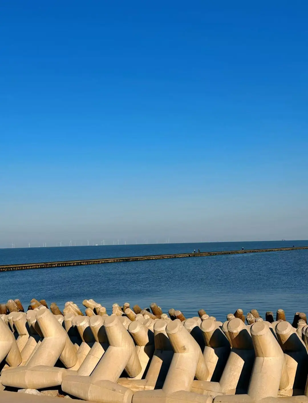 🌊东营！环华游开局，2天1夜只花100块