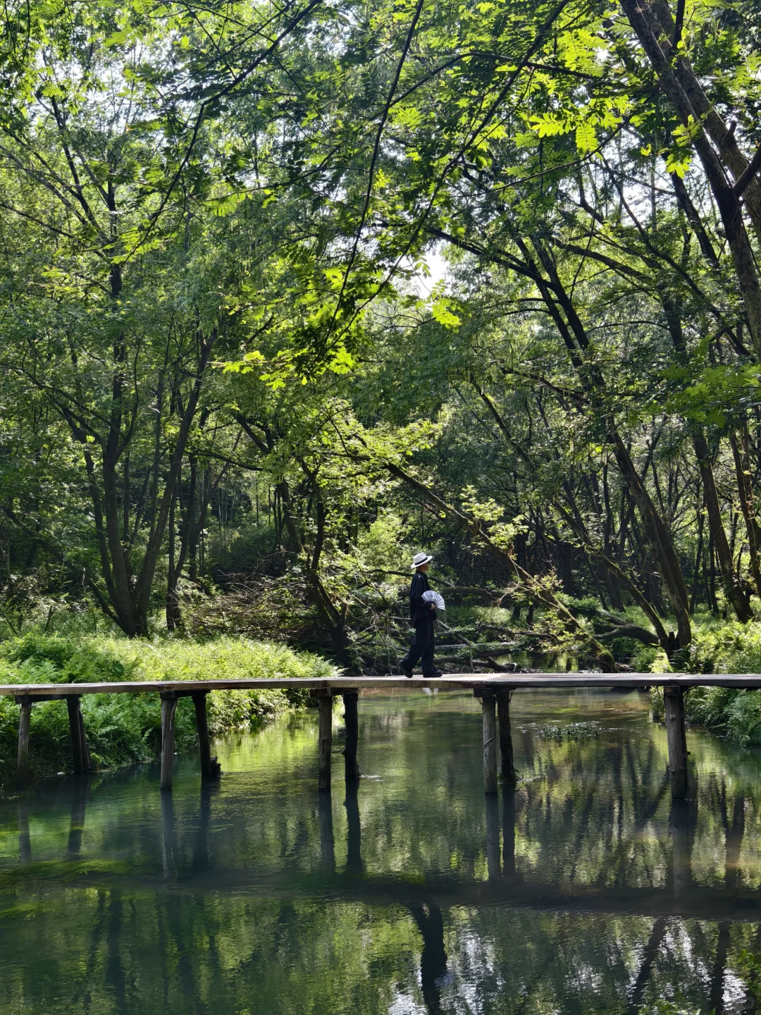 live图我宣布！小红书跟风打卡最成功的一次