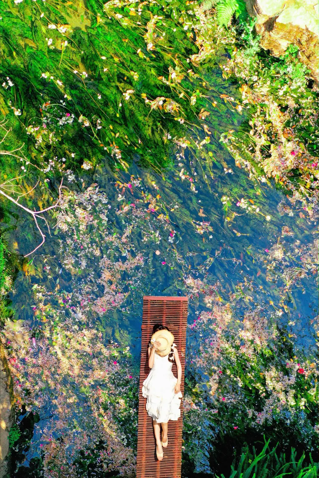 5.20🎈云南已回 暑假路线大公开❗gogogo