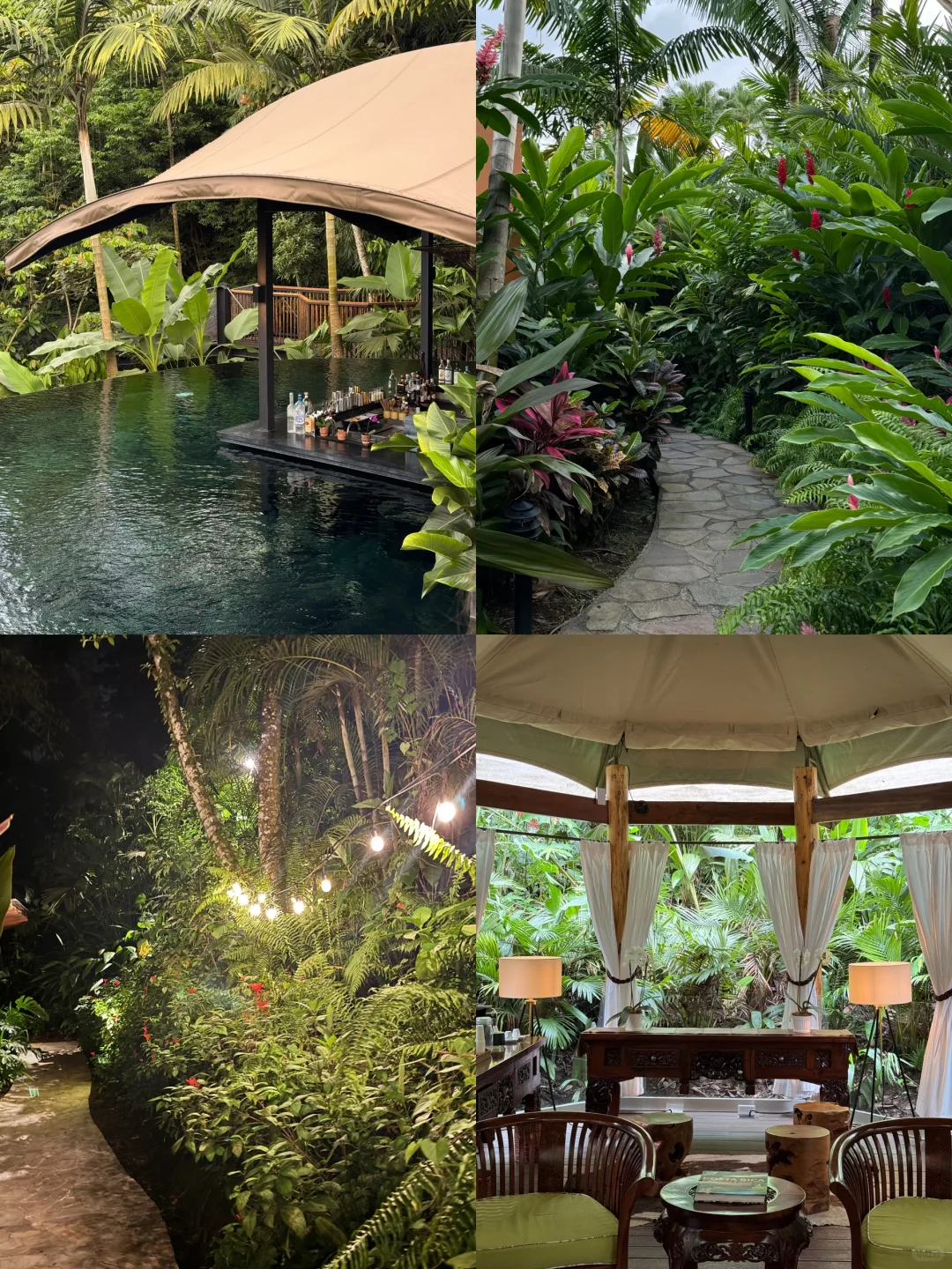 在哥斯达黎加住进了热带雨林是什么感受！