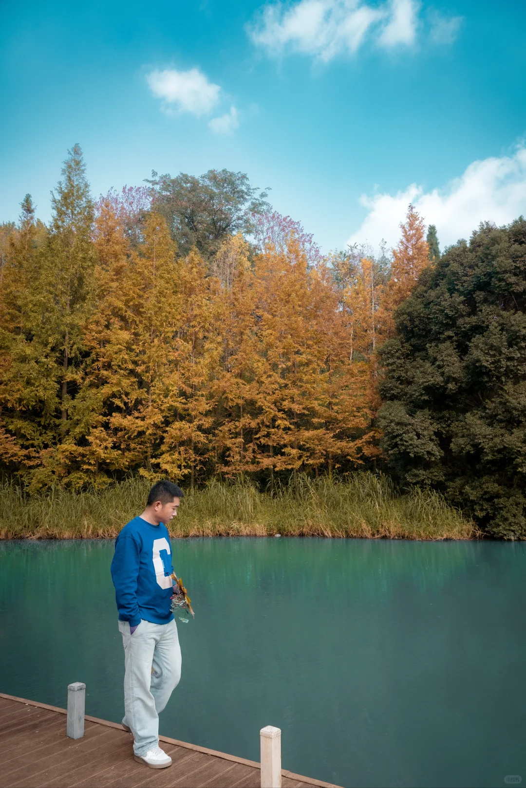 🍂北碚这条免费小众路线藏了整个秋天！