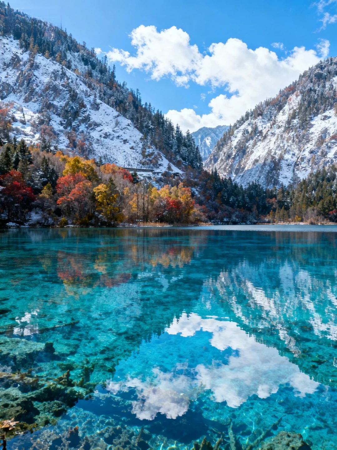 九寨沟，上帝打翻的调色盘🎨