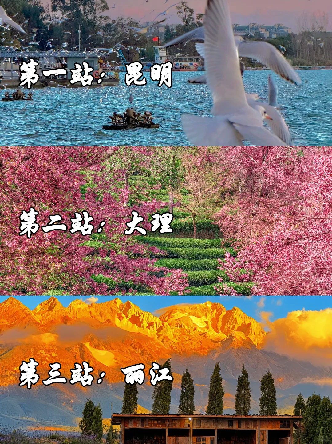 云南旅游攻略｜12~2月出行保姆级指南✅