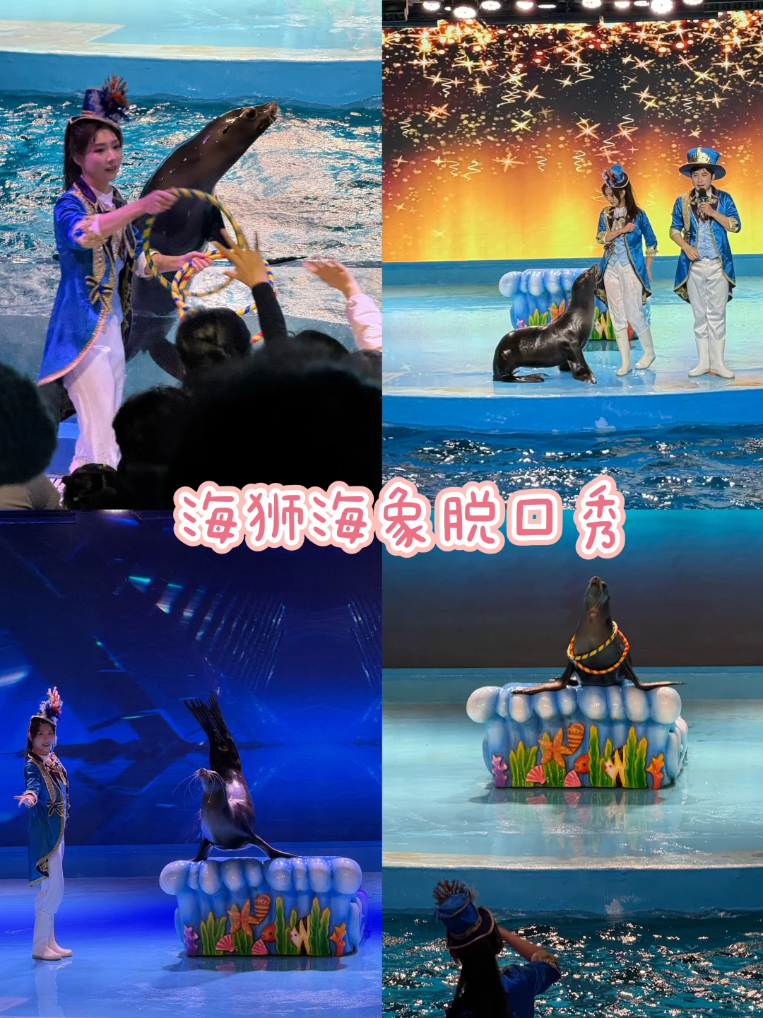 在冰城邂逅冬日童话❄️哈尔滨旅游攻略❗️