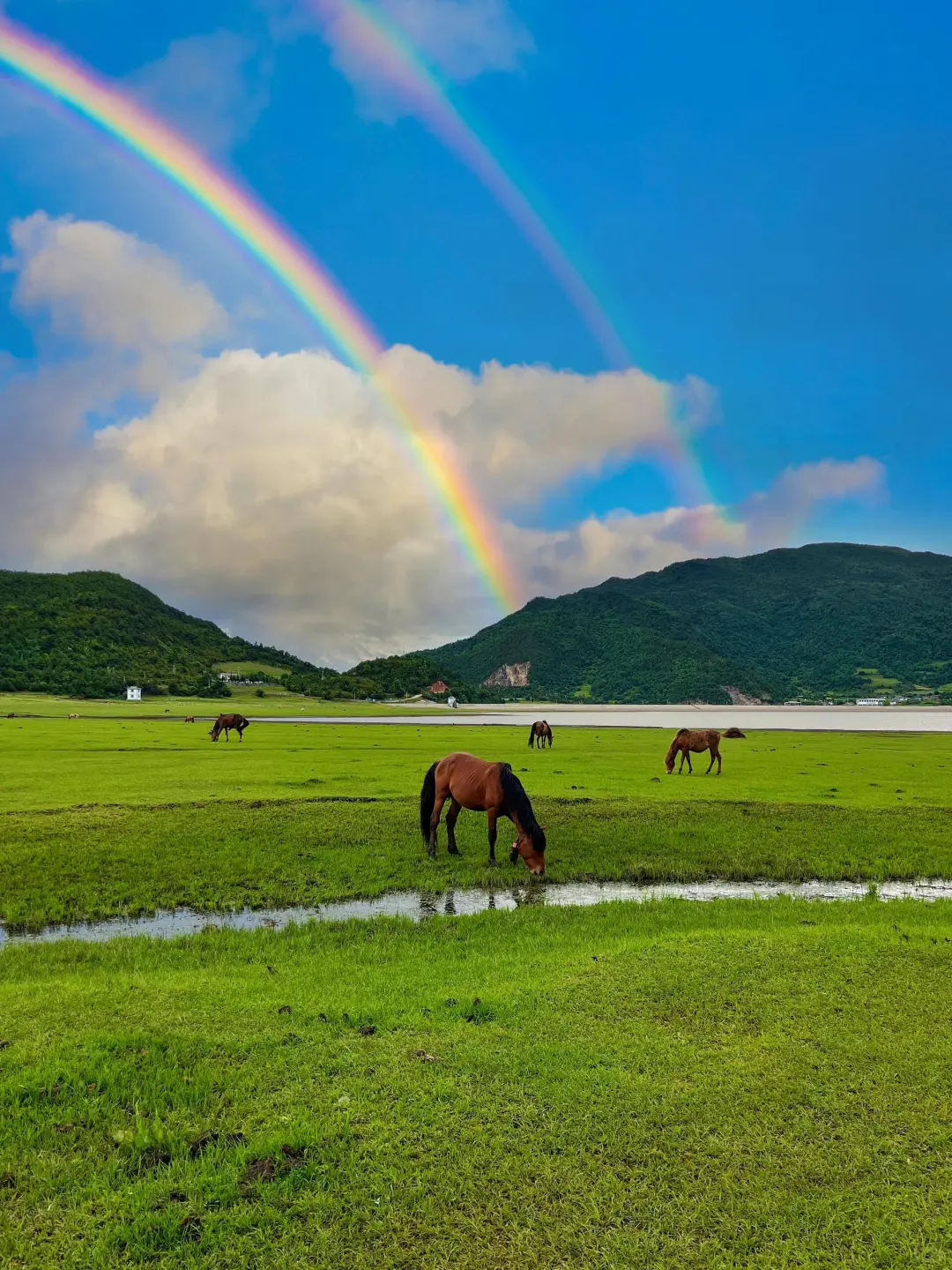 11-12月去云南旅游📍人均1k+💰玩转3地
