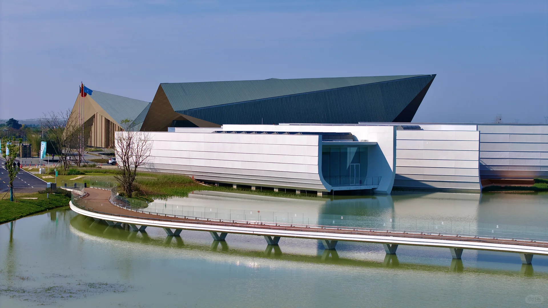 在武汉蔡甸找到了鹿客岛的平替，乌桕树已红