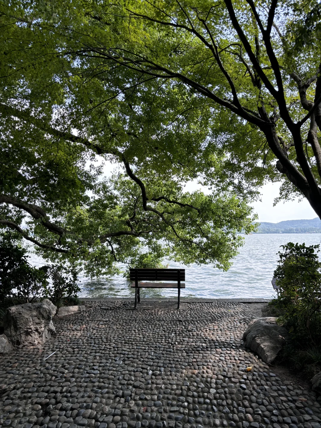 为了这1️⃣8️⃣张照片，特意去了一趟杭州…