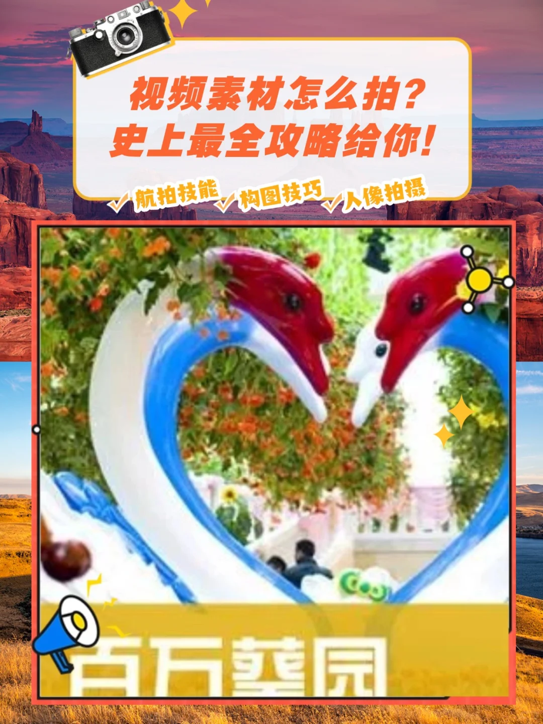 广州百万葵园攻略