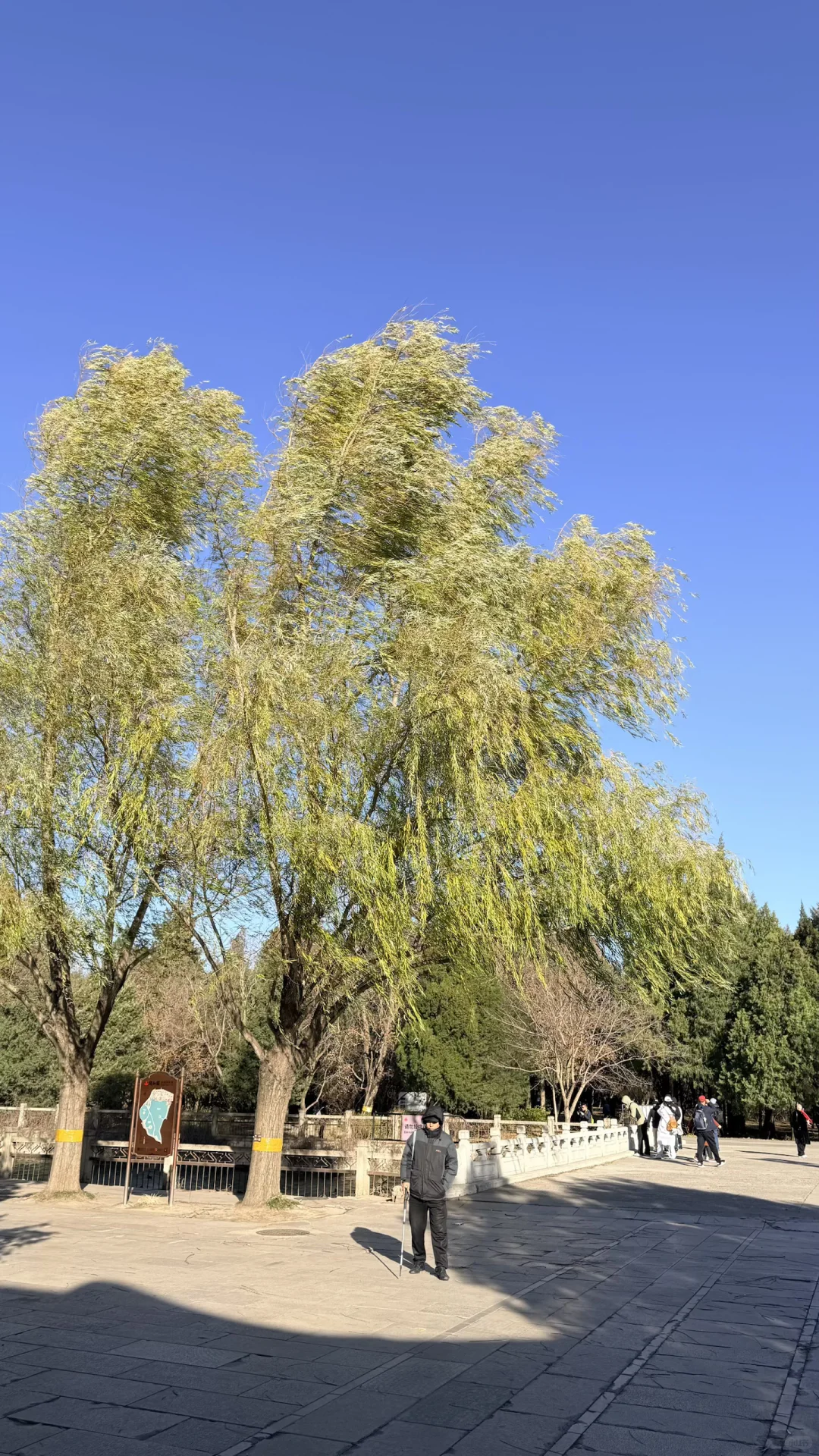 11.16的颐和园！美绝了