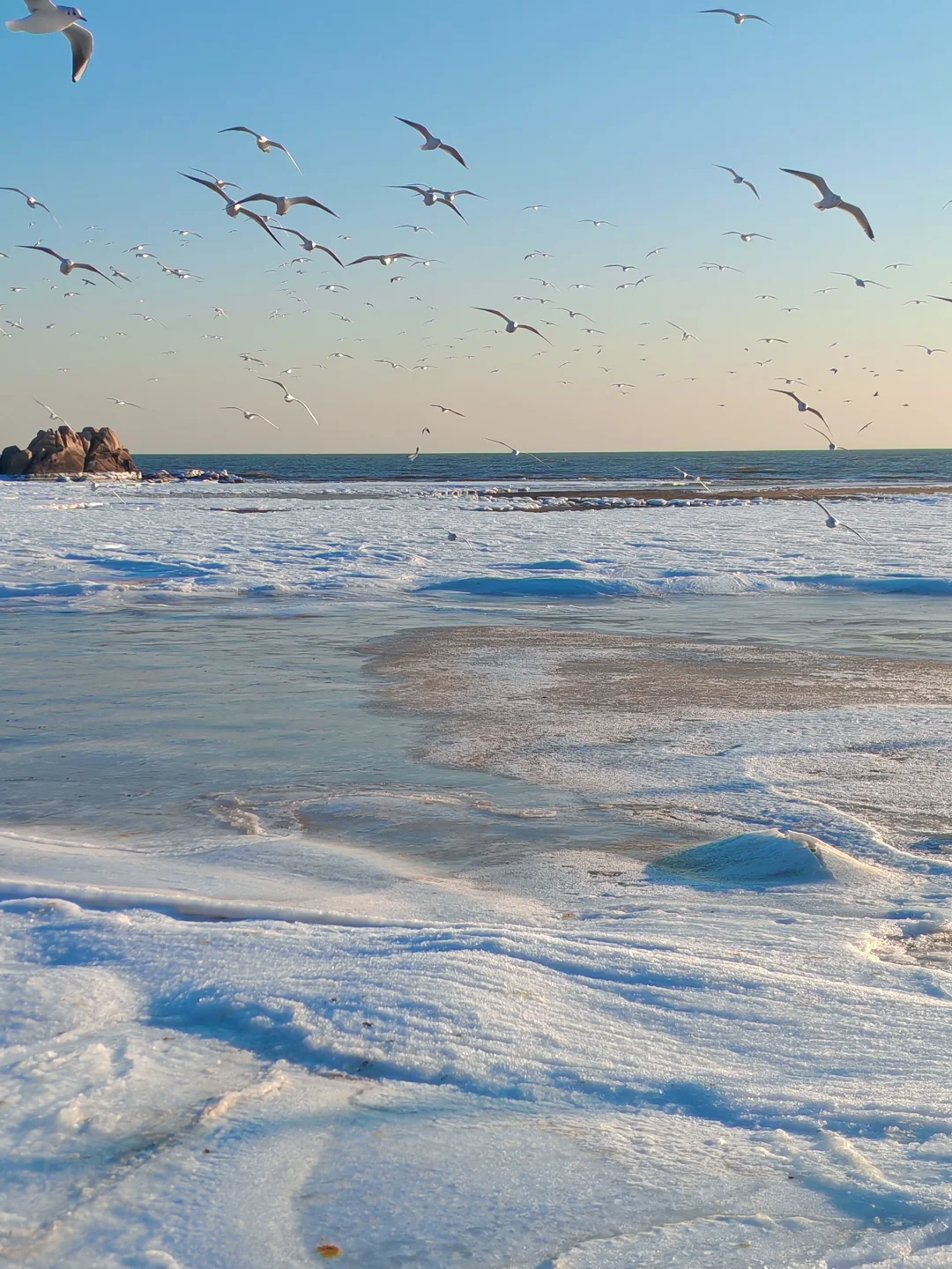 下个月一起去秦皇岛看冰河世纪‼️