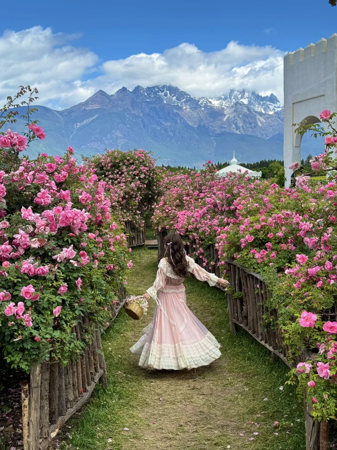 这辈子都舍不得删的live图🌿