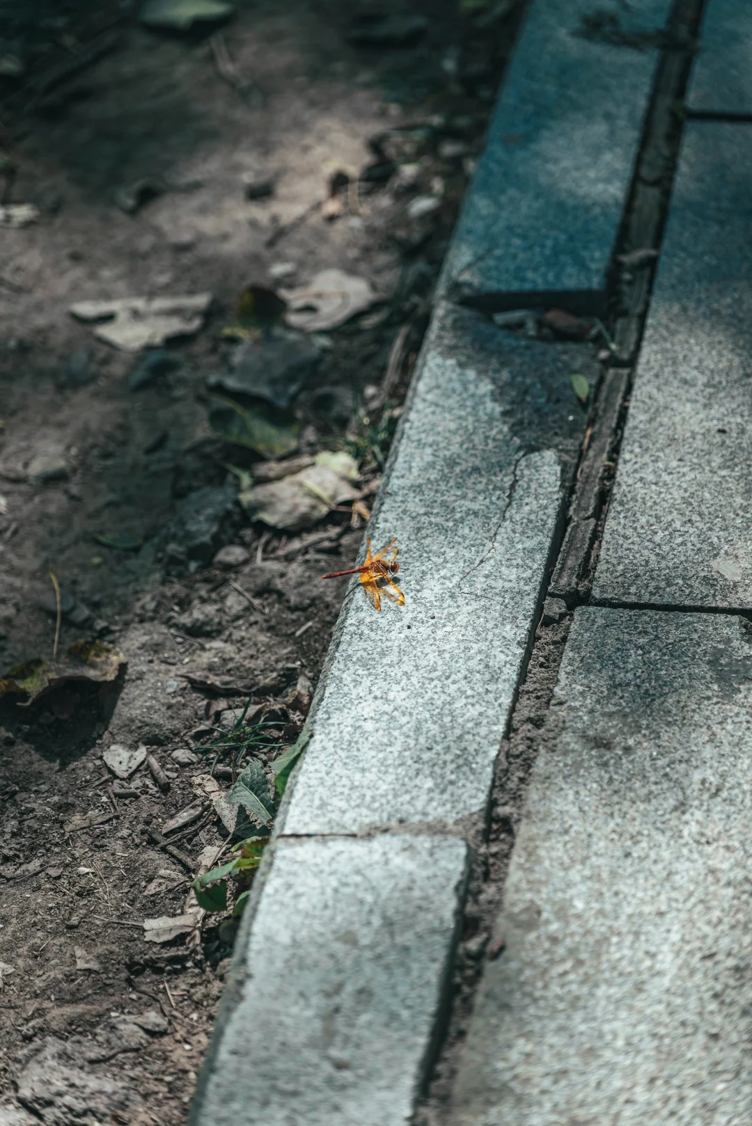 避暑山庄，不太值的5A景区