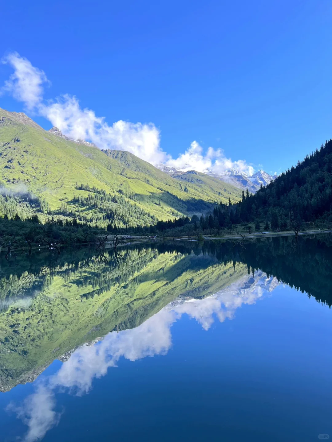 川西在我这里一直是top1的级别