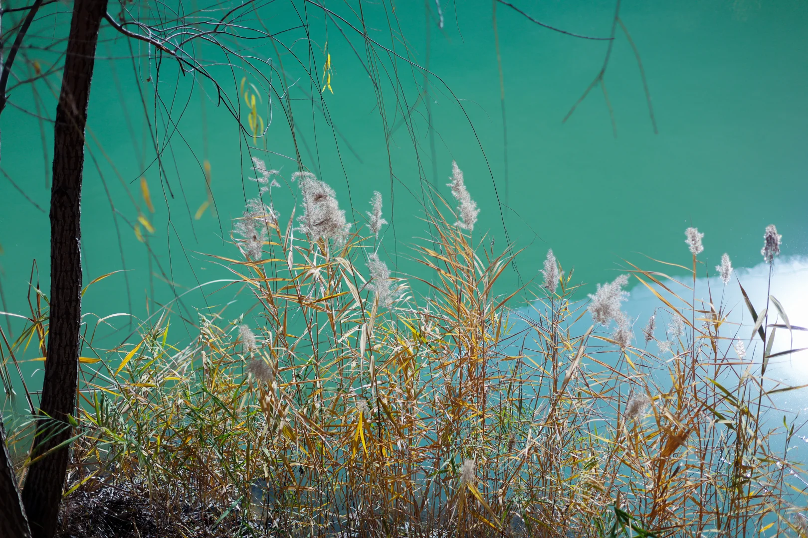 石家庄适合遛娃的景区，淡季人少，景色还美