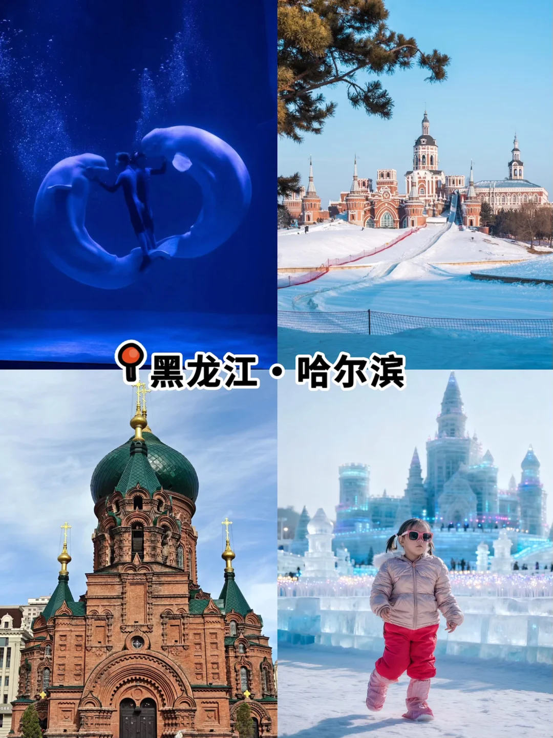 12月-2月最适合亲子游的宝藏城市清单！