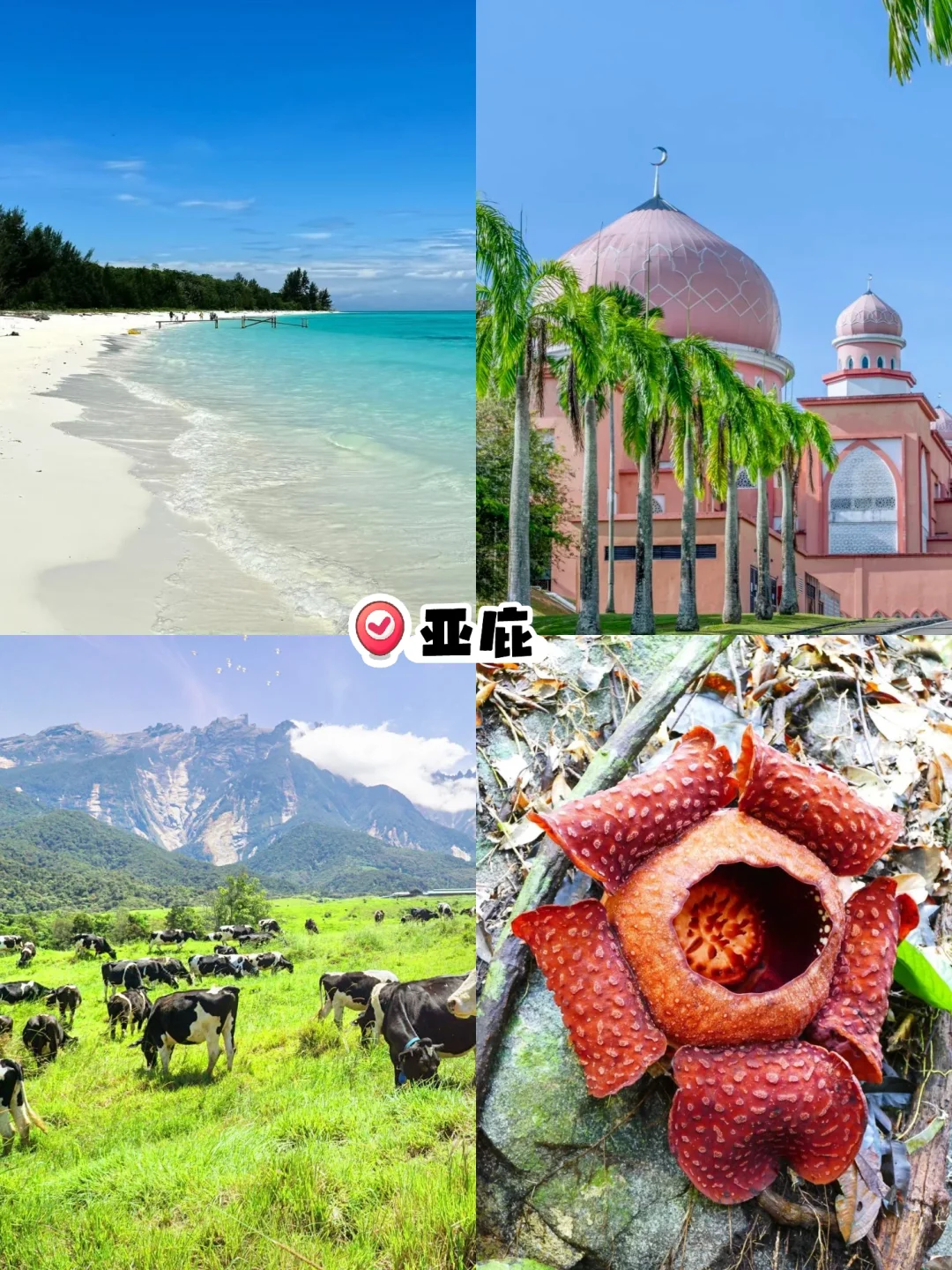 马来西亚旅游目的地怎么选？全方位对比