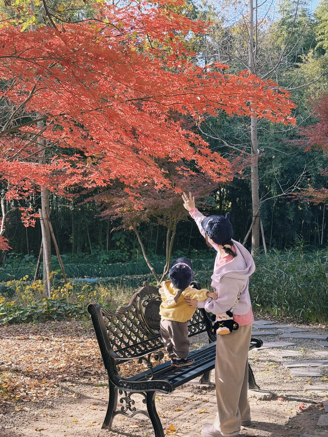 江浙沪遛娃plog崇明吃席一日游西沙湿地公园