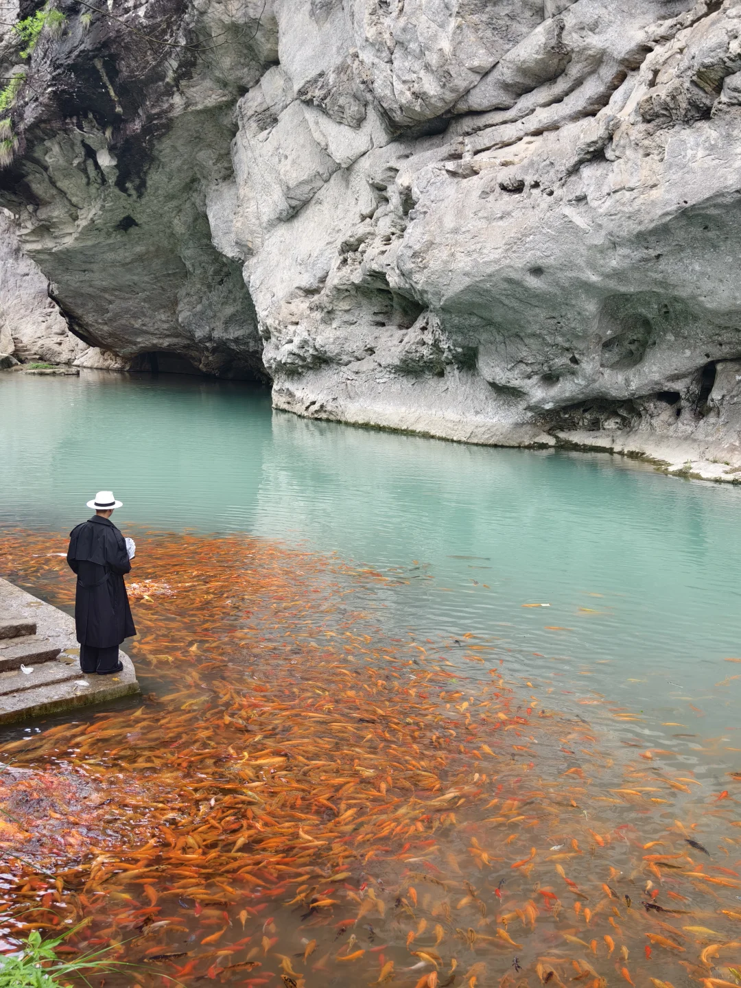 live图我宣布！小红书跟风打卡最成功的一次