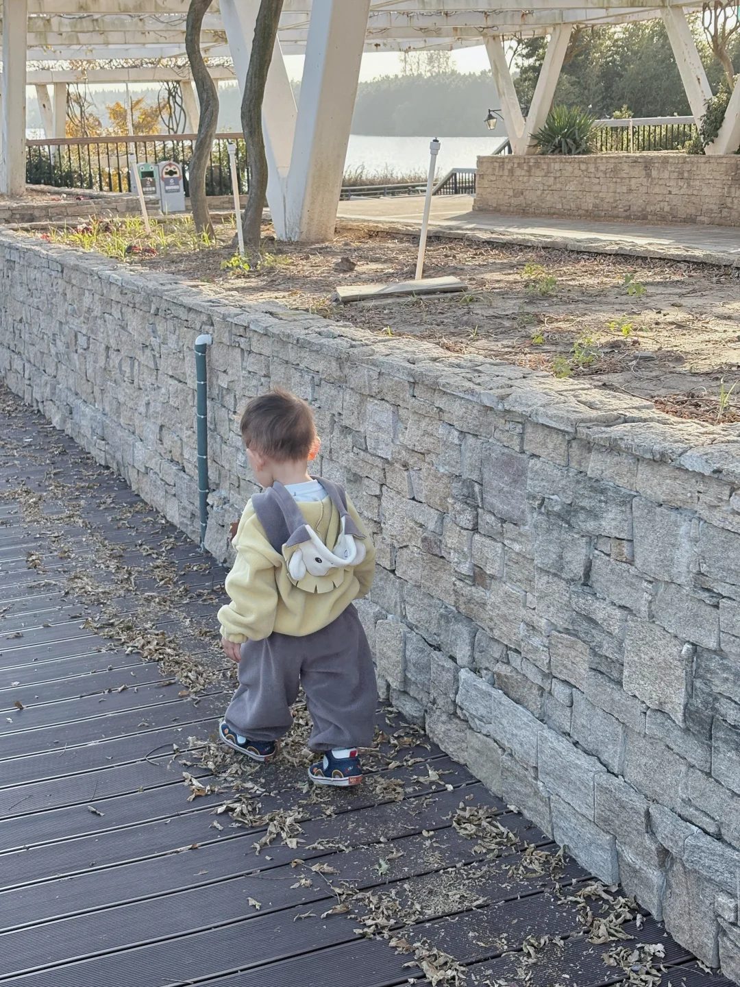 江浙沪遛娃plog崇明吃席一日游西沙湿地公园