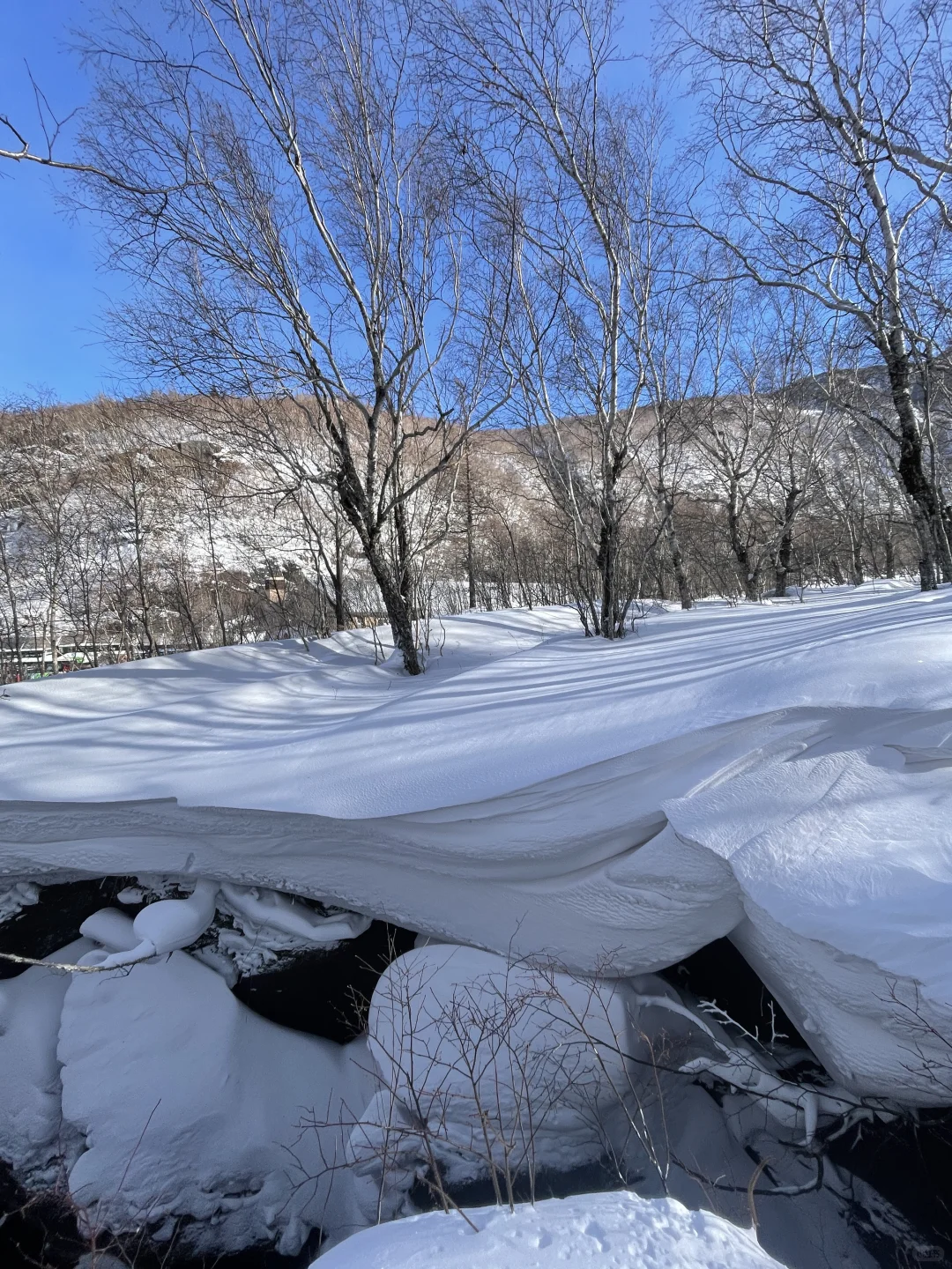 12.2长白山热冒烟了...