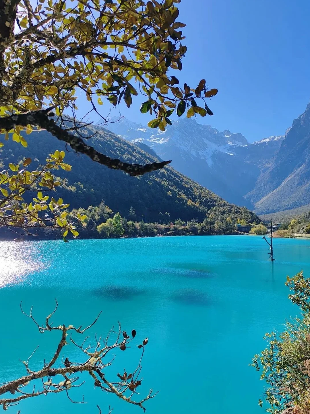 云南旅游攻略｜12~2月出行保姆级指南✅