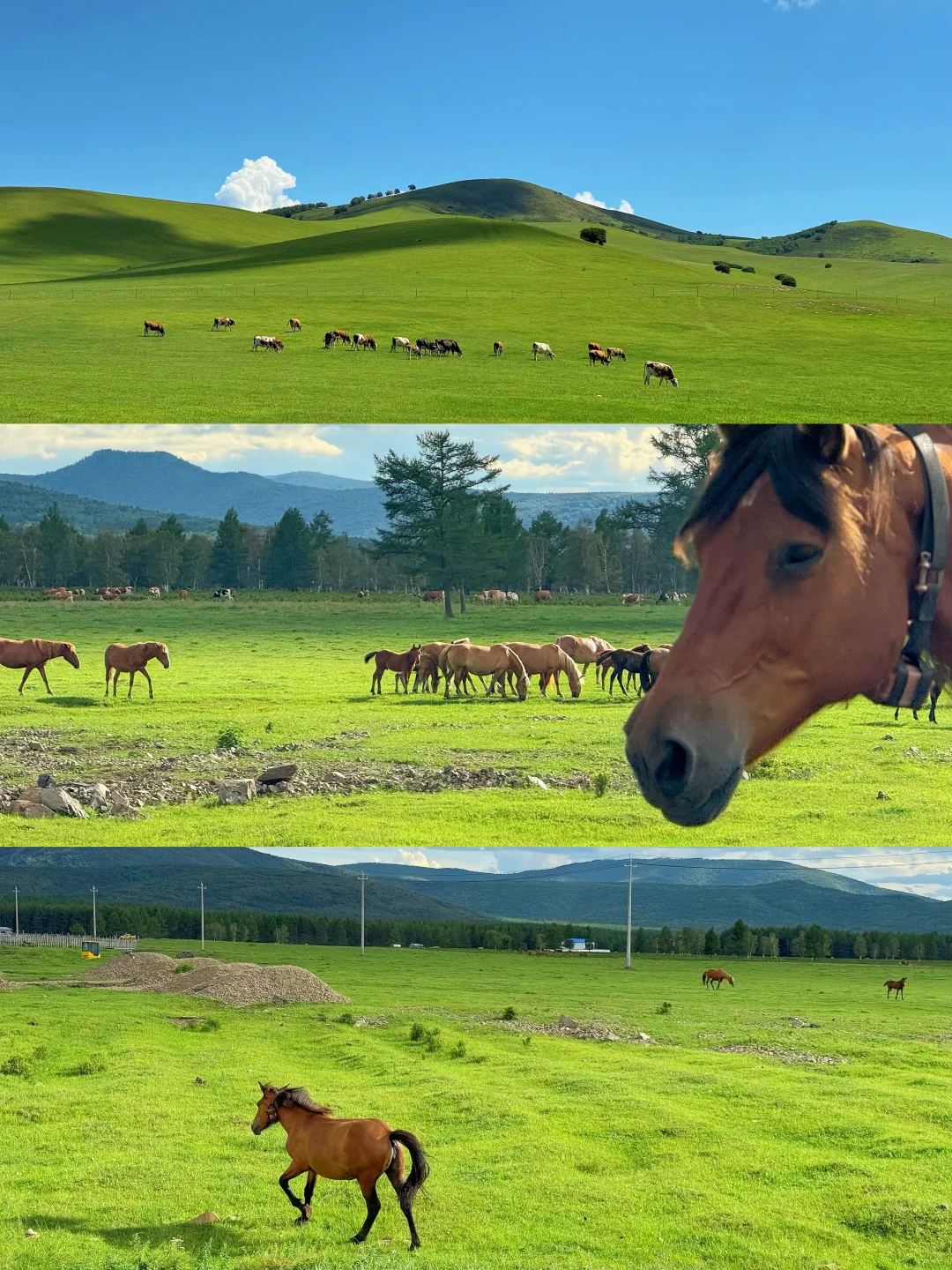 阿尔山🏔️，中国最具童话感的边陲小镇