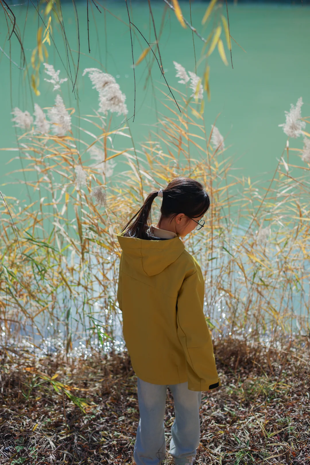 石家庄适合遛娃的景区，淡季人少，景色还美
