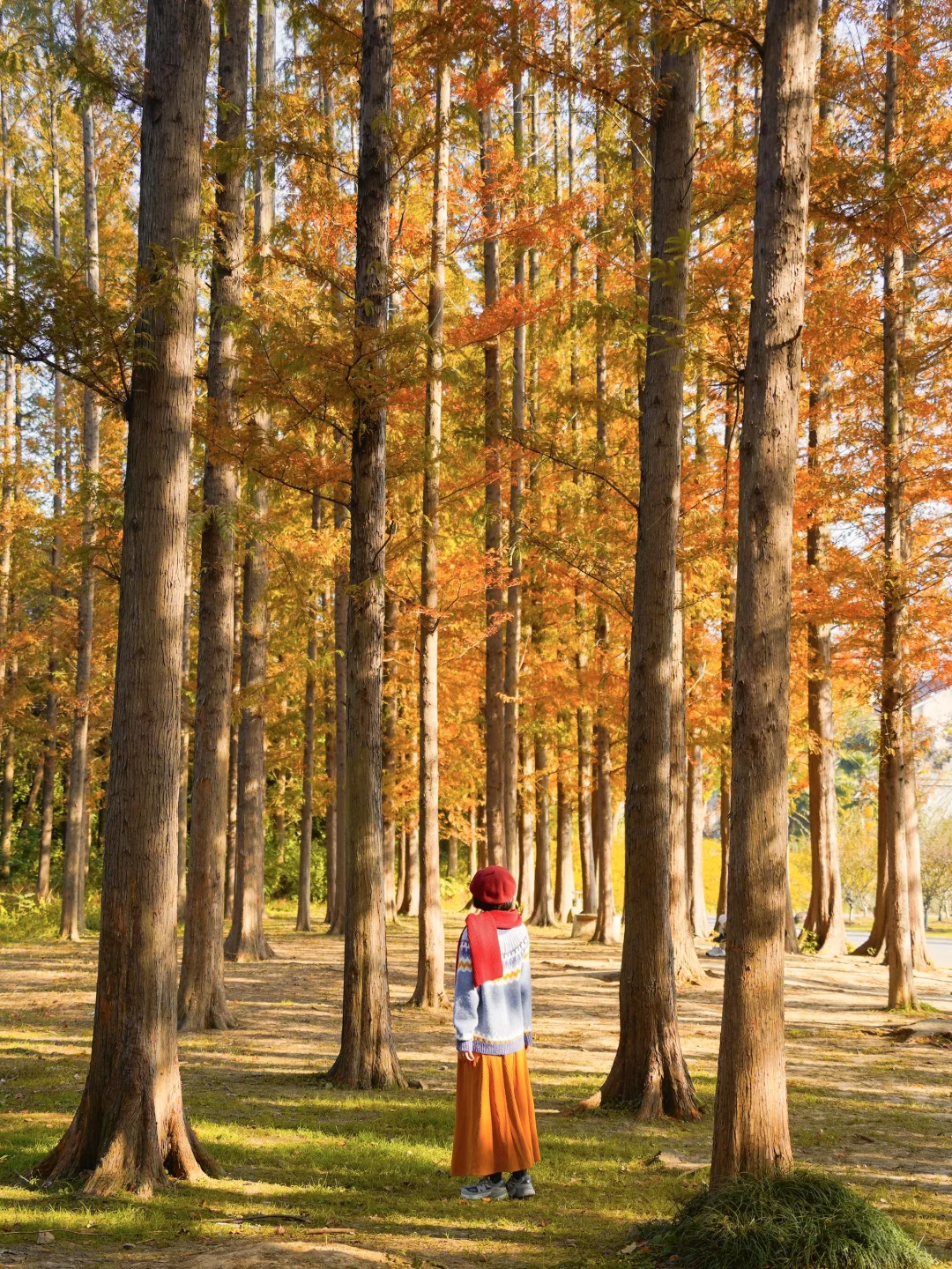 迄今为止，我最喜欢的赏秋小城出现了！美哭😭