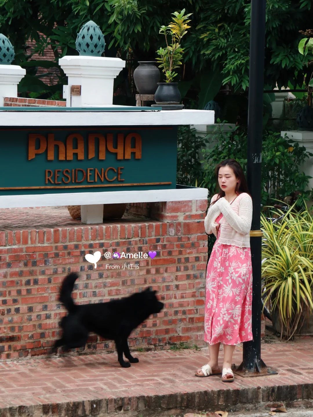 我的旅行搭子🥳