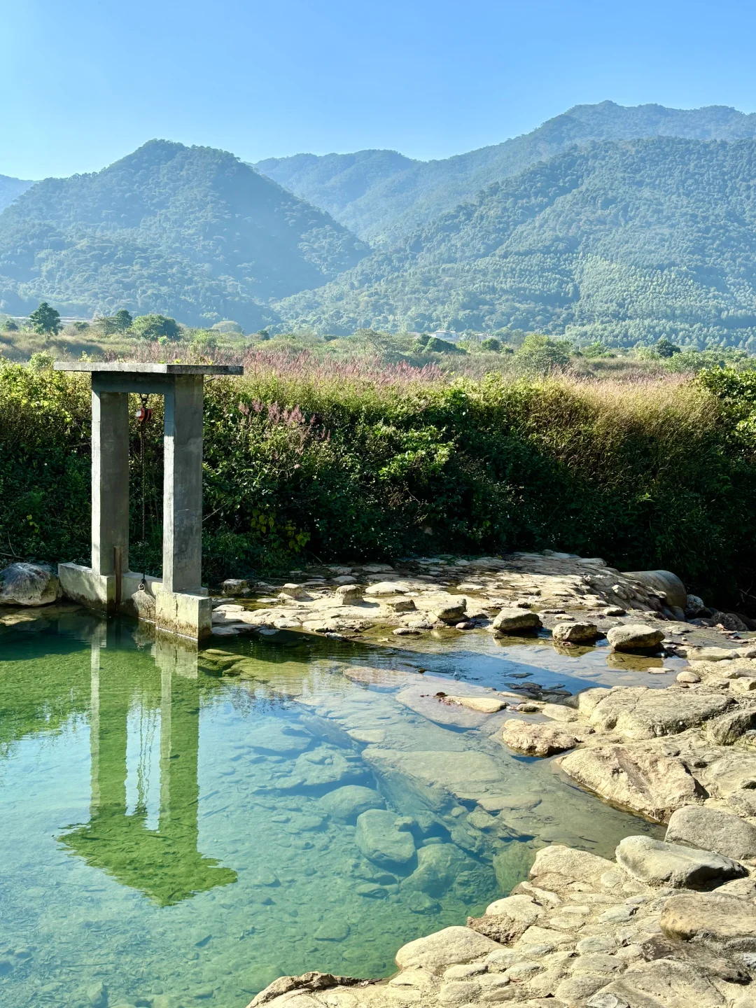 自由的风🏞️🌳🍃
