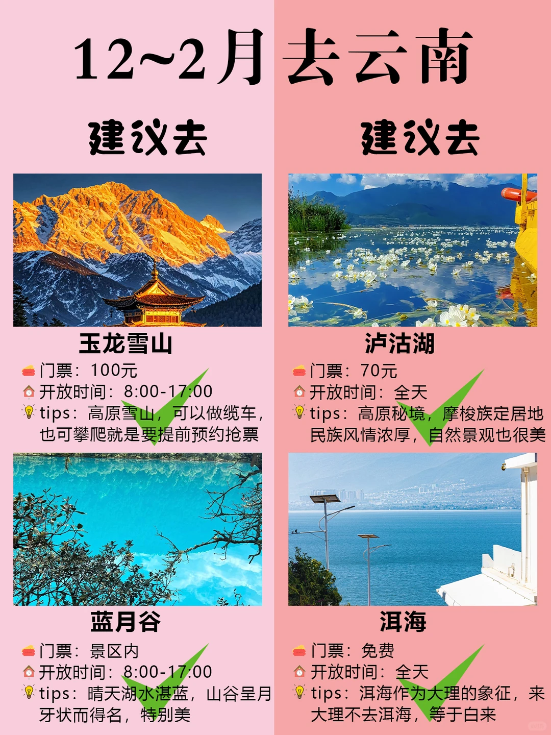 12~2月💡纯玩天花板云南5天💰人均1k+