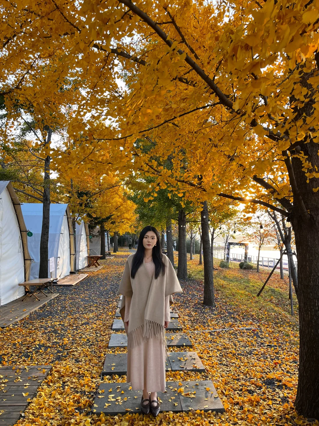 11.12实况｜临沂的秋天已经美到next level了