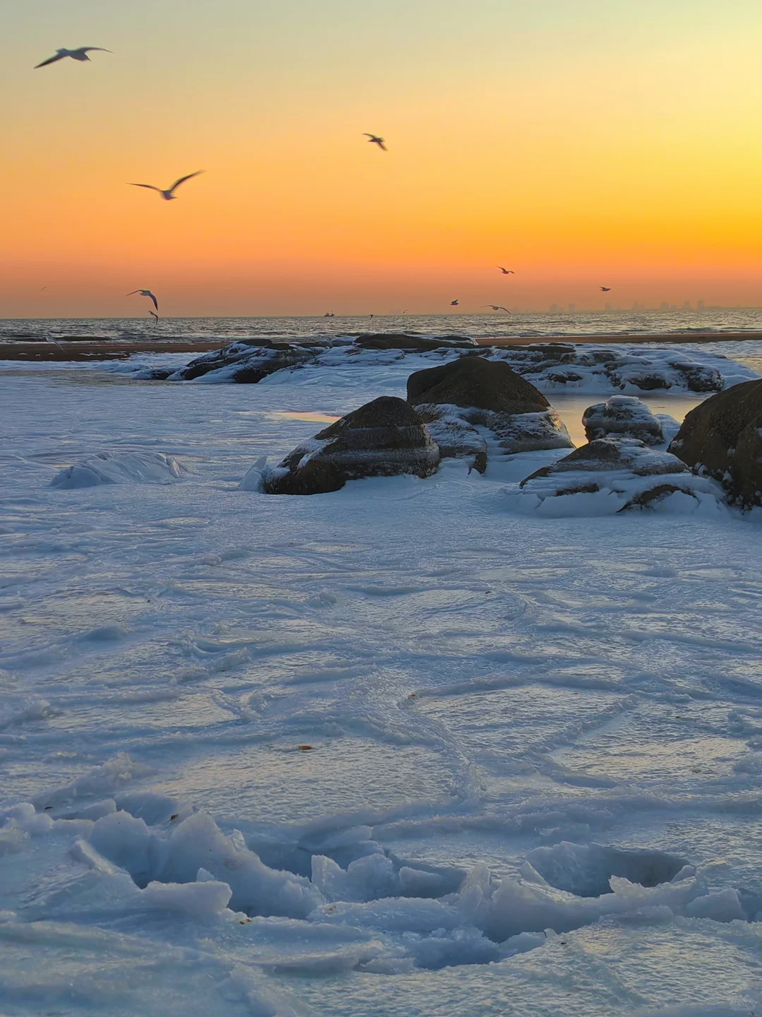 下个月一起去秦皇岛看冰河世纪‼️