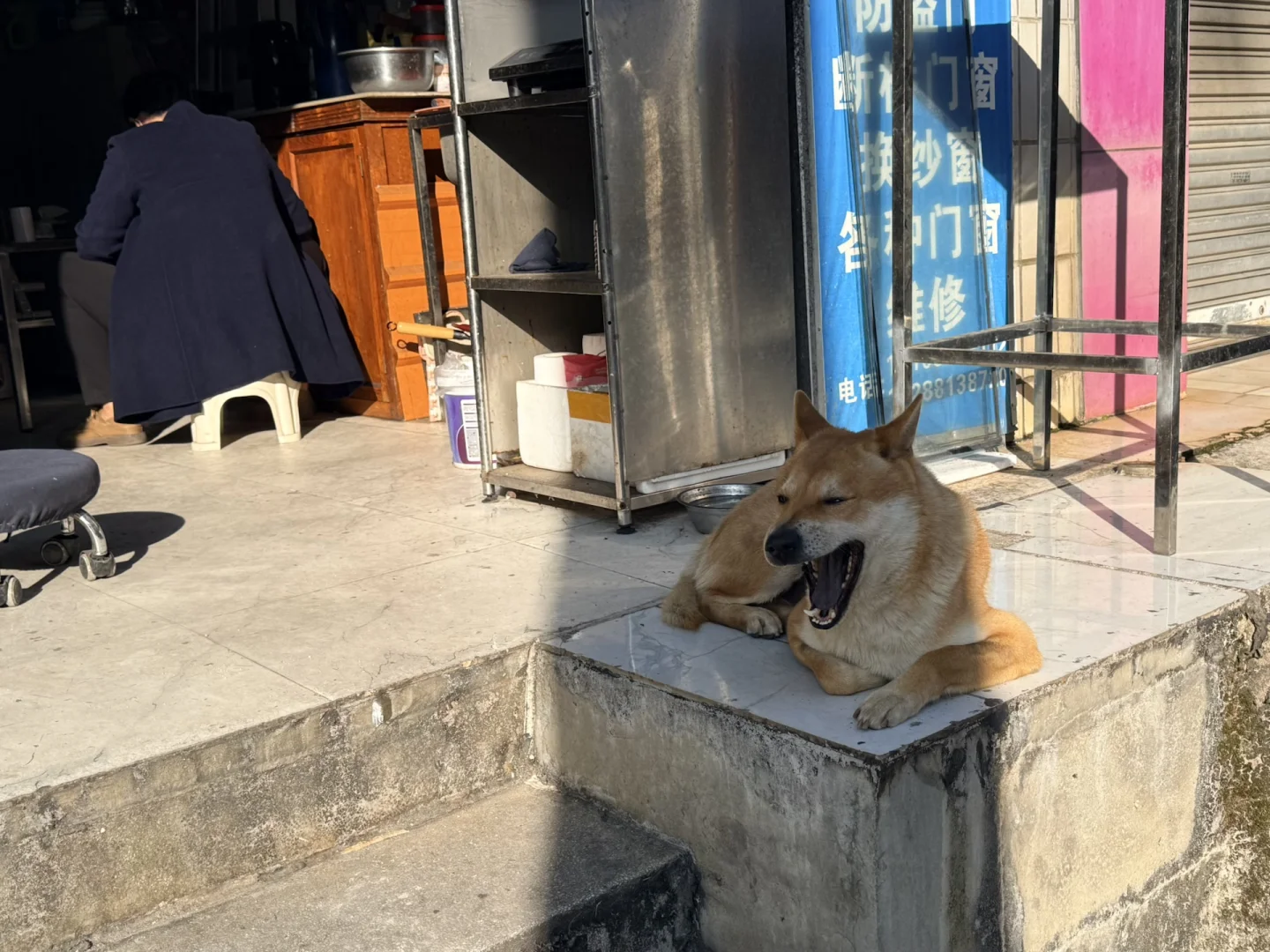 一天半芒市游玩体验～