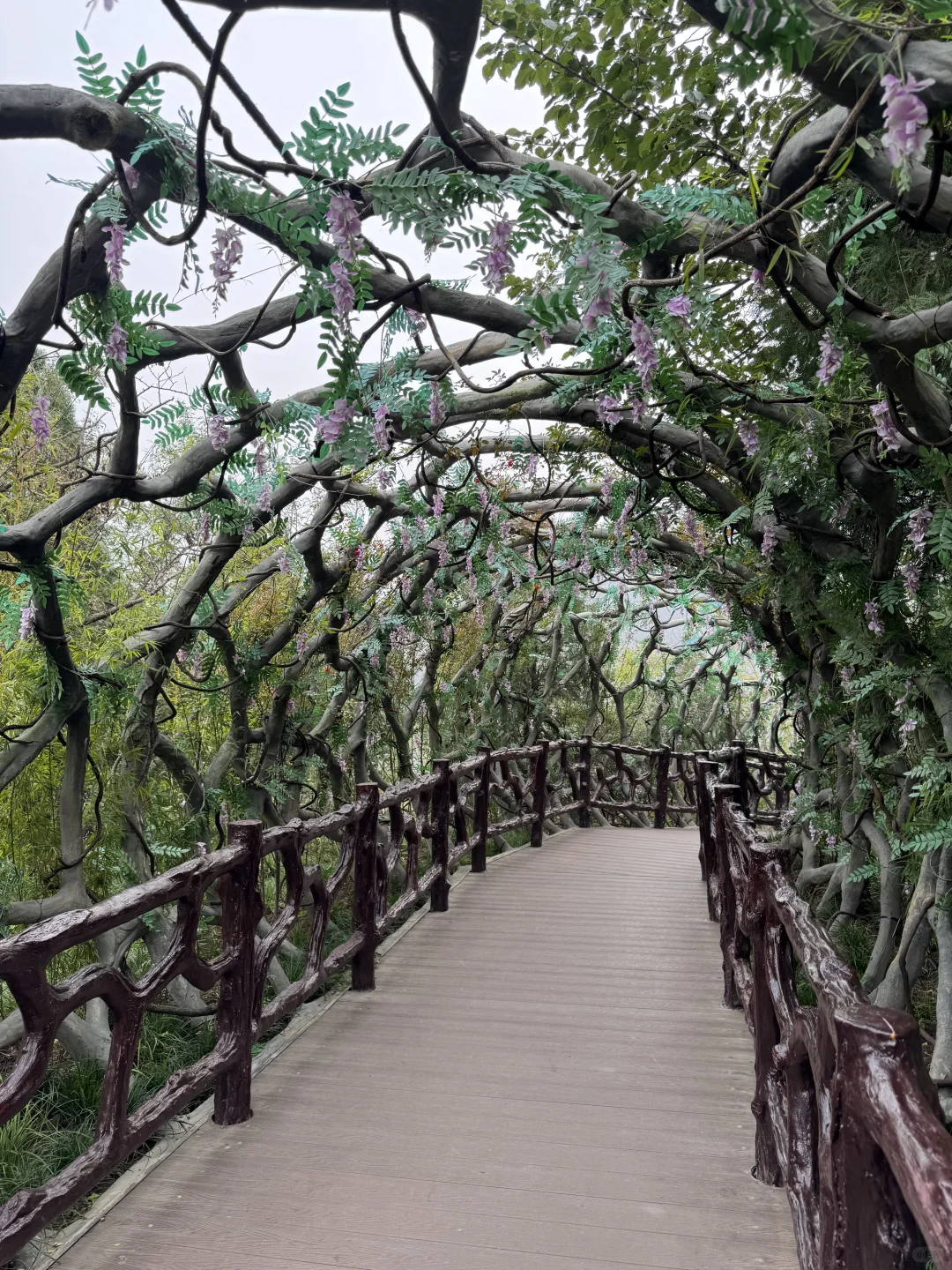 如果在河南只爬一座山 那一定是云台山🏔️